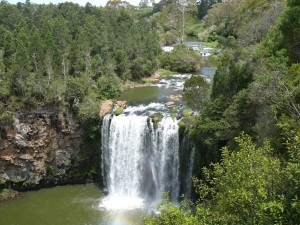 Dangar Falls at Dorrigo. As seen from the viewing platform.