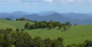 Wild mountain ranges in the Oxley Wild Rivers National Park from the Dorrigo Hillside.