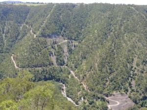 Metz Gorge. Note the gravel track to the river and the gold workings cut into the hillside.