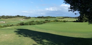 Fairways and Greens at NSW Golf Club.