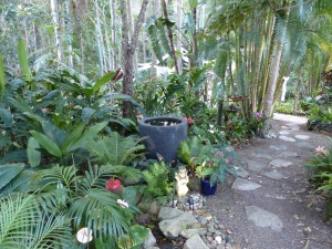 Part of the extensive gardens at Noosa Valley Manor.